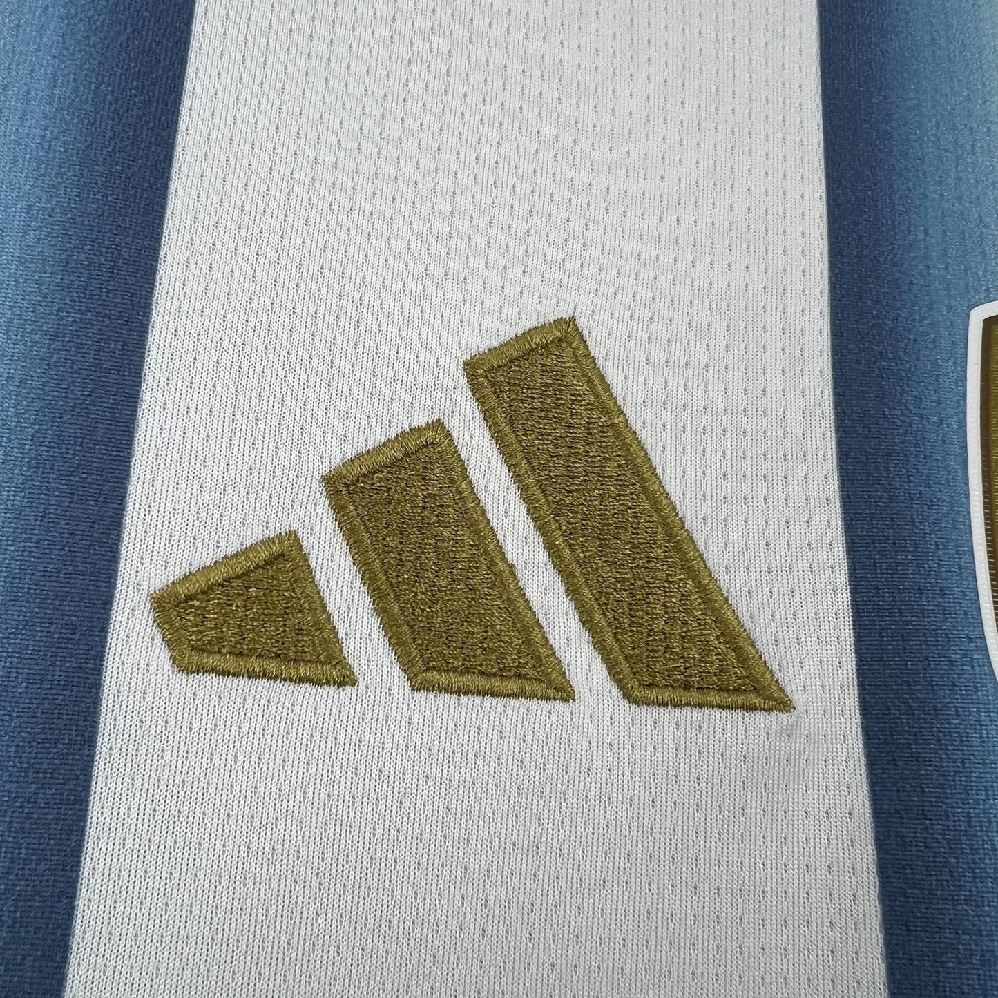 2026 Camiseta Argentina Casa Fan Version