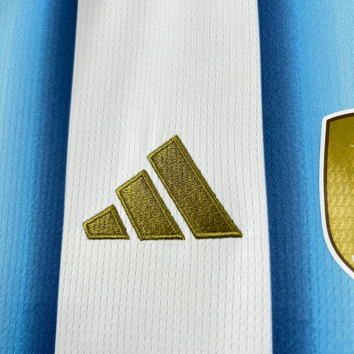 2026 Camiseta Argentina Casa Mujer