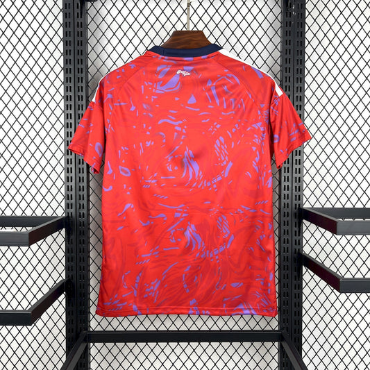 2026 Camiseta Costa Rica Local Fan Version