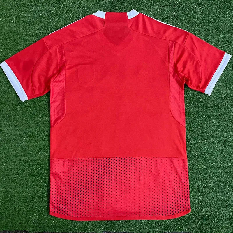 23-24 Camiseta Peru Visita Fan Version