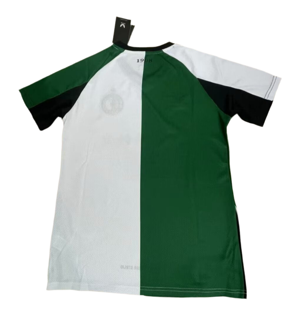 24-25 Camiseta Feyenoord Tercera Fan Version