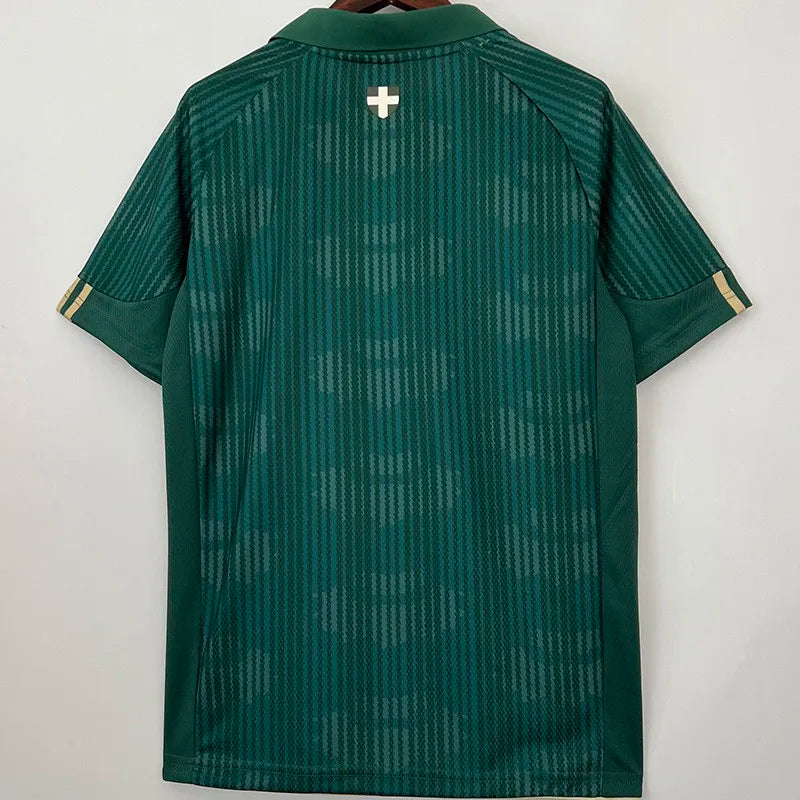 23-24 Camiseta Palmeiras Special Edition Green Fan Version